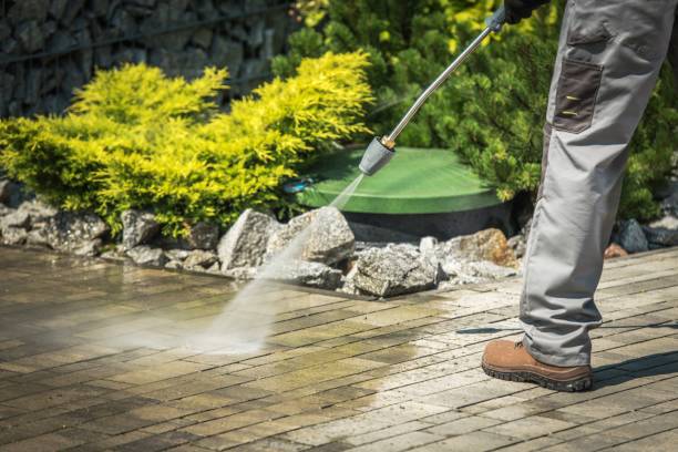 Best Fence Cleaning  in Pelican Bay, FL